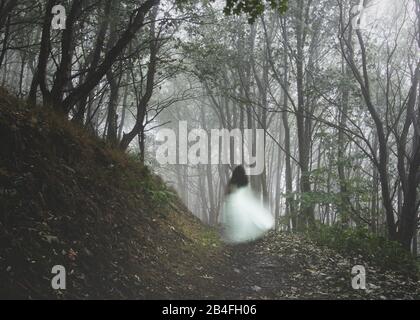 Eine unscharf leuchtende, bluurrote, gespenstische Frau, die ein weißes Kleid trägt und von der Kamera wegläuft. An einem nebligen Herbsttag in einem Wald. Stockfoto