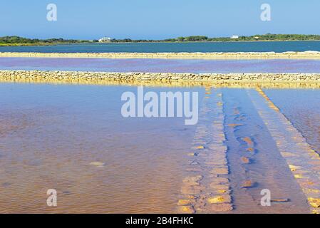 Salt Lake, Formentera, Balearen, Spanien Stockfoto