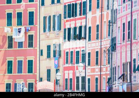 Camogli beherbergt Fassade, Camogli, Ligurien, Italien, Europa Stockfoto