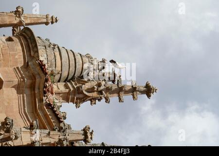 Storchennest auf einem Kirchturm, Salamanca, Castilla y Leon, Spanien, Europa Stockfoto