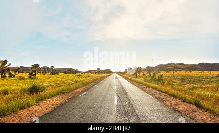 Straße, die von Ranohira in die Stadt Ilakaka führt, kleine Büsche und Palmen an den Seiten, Hügel in der Ferne - typische madagassische Landschaft. Stockfoto