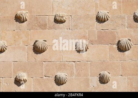 Shell-Haus Casa de Las Conchas und Kirche La Clerecia, Salamanca, Castilla y Leon, Kastilien-Leon, Spanien, Europa Stockfoto