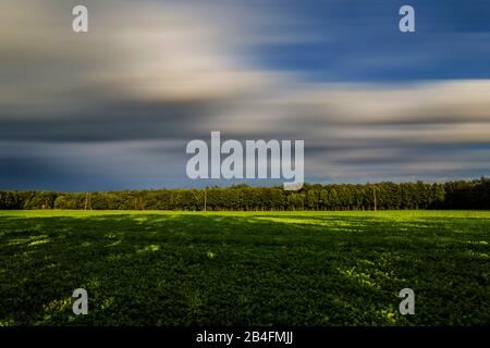 Wolke drift im Sommer über Ackerland und Wald Stockfoto