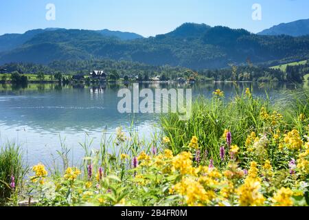 Grundlsee, Grundlsee-Ostende, Blick auf ditrict Gössl im Ausseerland-Salzkammergut, Steiermark, Styria, Österreich Stockfoto