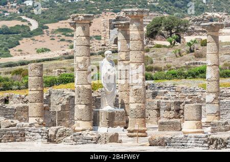 Ruinen Baelo Claudia, Bolonia, Cadiz, Costa de la Luz, Andalusien, Spanien Stockfoto