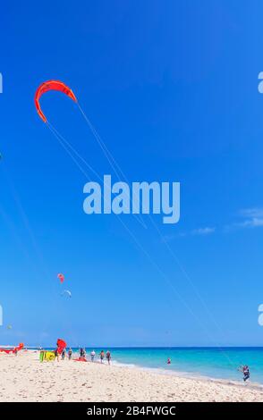 Kiteboarding, Tarifa, Costa de la Luz, Provinz Cadiz, Andalusien, Spanien, Europa Stockfoto