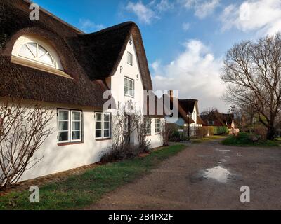 Rauegjaat, Nebel (Nebel), Schleswig-Holstein, Deutschland, Amrum, Stockfoto