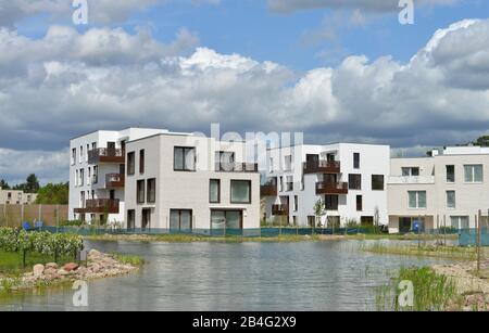 Wohnungssiedlung "5 Morgen", Clayallee, Dahlem, Berlin, Deutschland Stockfoto