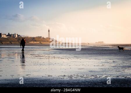 Ein einsamer Wanderer an einem leeren Strand in der Nähe von Blackpool UK, der seinen Hund spaziert, soziale Distanzierung Stockfoto