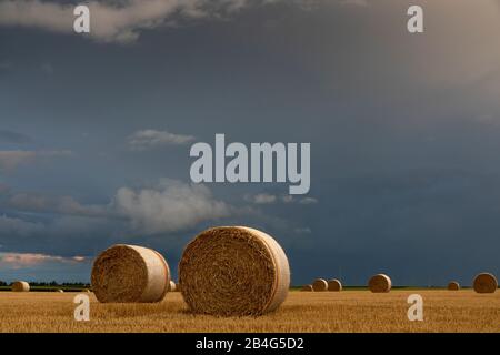 Runde Strohballen auf geerntetem Feld im donnernden Abendlicht Stockfoto