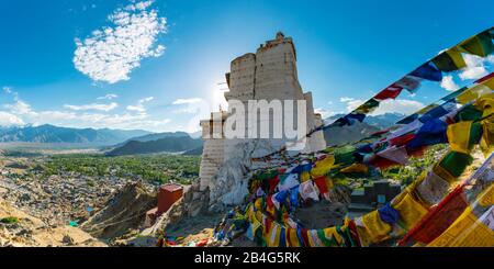 Das Kloster Namgyal Tsemo Gompa, Tsenmo Hill, LEH, Ladakh, jammu und Kashmir, Indien, Asien Stockfoto