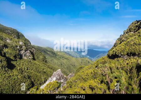 Europa, Portugal, Madeira, Hochebene von Paúl da Serra, Rabacal, Ribeira da janela Stockfoto