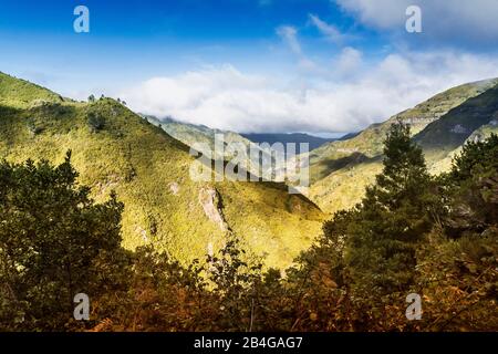 Europa, Portugal, Madeira, Hochebene von Paúl da Serra, Rabacal, Ribeira da janela Stockfoto