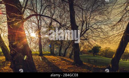 Schlosspark, englischer Landschaftsgarten, Schloss, Richmond, Herbst, Braunschweig, Niedersachsen, Deutschland, Europa Stockfoto