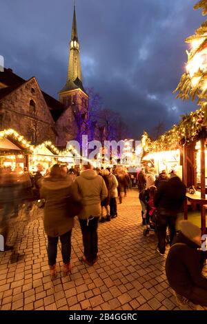 Weihnachtsmarkt, Marktkirche, Blaue Stunde, Hamelin, Niedersachsen, Deutschland, Europa Stockfoto