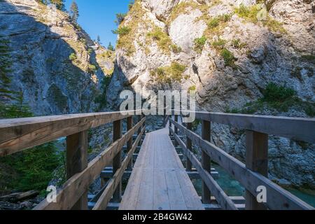 Unterwegs in der Gleirschklamm, Österreich, Tyrol, Scharitz Stockfoto