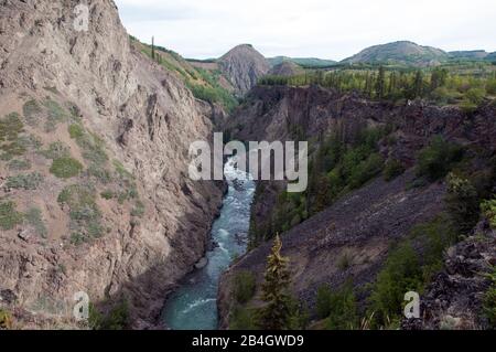 Die steilen Hänge des Grand Canyon des Stikine River in den Spectrum Mountains, in der Nähe von Telegraph Creek im Norden von British Columbia, Kanada. Stockfoto