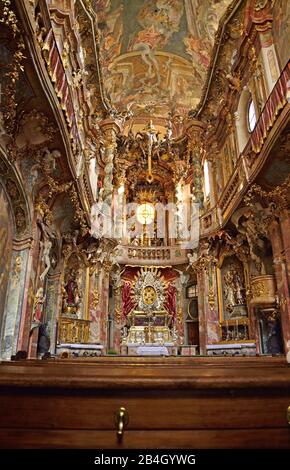 Europa, Deutschland, Bayern, München, Altstadt, Sendlinger Straße, Asam-Kirche, St. Johann Nepomuk, erbaut von den Gebrüdern Asam von 1733 bis 1746 im Rokokostil, Kirchenschiff, Stockfoto