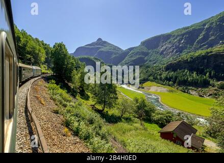 Reise mit der Flambahn, Eisenbahreise, Blick von Flåmsbana, Ryavegen, Bergen, Wälder, Wiesen, blauer Himmel, Flåm, Sogn og Fjordane, Norwegen, Skandinavien, Europa Stockfoto