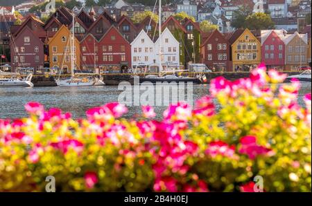 Bunte Häuserzeile im Hafen der Stadt Bergen, Segelschiffe, Hordaland, Norwegen, Skandinavien, Europa Stockfoto