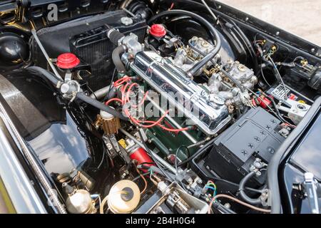 Michelstadt, Hessen, Deutschland, Triumph TR 4A, Roadster, Baujahr 1965, 120 ps, 2,2 Liter, Detail, Motor, Stockfoto