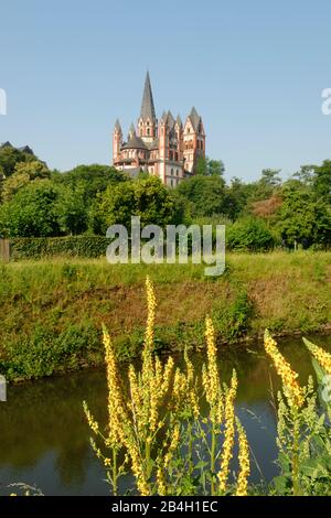 Blick vom Lahntalradweg zum Limburger Dom, Limburg-Lahn, Hessen, Deutschland Stockfoto