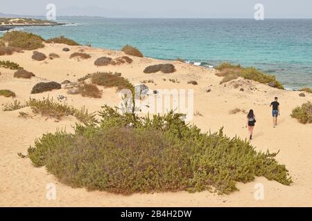 Junges, schlankes, attraktives heterosexuelles Paar, das am Strand von Corralejo, Fuerteventura, Spanien, Richtung Ufer läuft. Türkisfarbenes Wasser, Sand und große grüne Sträucher Stockfoto