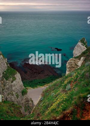 La Falaise d'Amont, Etretat, Octeville-sur-Mer, Le Havre, Seine-Maritime, Normandie, Frankreich Stockfoto