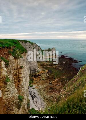 La Falaise d'Amont, Etretat, Octeville-sur-Mer, Le Havre, Seine-Maritime, Normandie, Frankreich Stockfoto