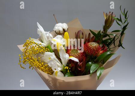Nahspringbouquet aus Ruscus, Leucadendron, Leucospermum, Iris, Baumwolle, Mimosenzweig, Tulpe auf grauem Hintergrund, selektiver Fokus Stockfoto