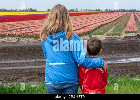 Ein Mädchen und ein Junge sehen sich ein bis zum Horizont reichendes Tulpenfeld an, Stockfoto