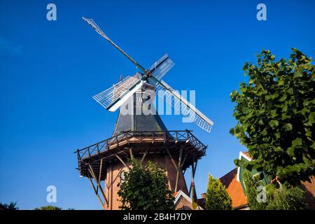 Ditzum, Windmühle Stockfoto