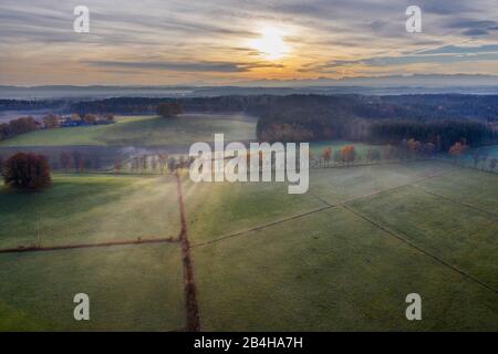 Birkenallee durch Wiesenlandschaft in Morgenlicht, Schwaigwall, bei Geretsried, Tölzer Land, Alpenvorland, Drohnenaufnahme, Oberbayern, Bayern, Deutschland Stockfoto