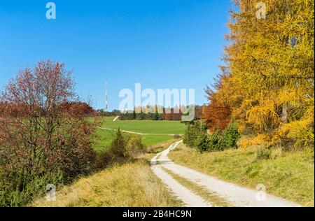 Deutschland, Baden-Württemberg, Albstadt-Onstmettingen, Schwäbische Alb, Herbst auf dem Raichberg Stockfoto