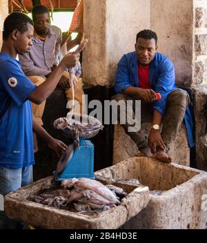 Destination Tansania, Insel Sansibar: Impressionen aus Stone Town. Auf dem Fischmarkt wird der Fisch gewogen. Stockfoto