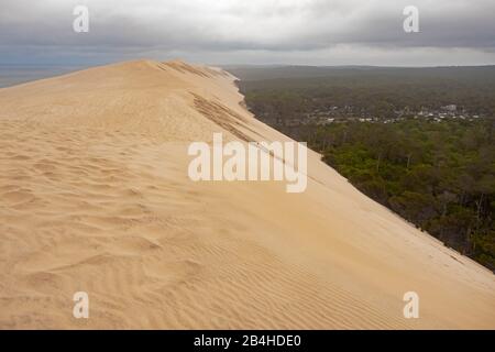 Die Düne von Pilat an der Atlantikküste, die höchste Sanddüne Europas, Frankreich, Bordeaux, La Teste-de-Buch, Arcachon Stockfoto