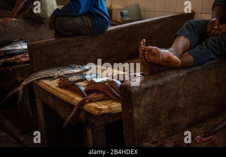 Destination Tanzania, Insel Sansibar: Impressionen aus Stone Town, dem ältesten Teil Sansibars, der Hauptstadt des tansanischen Staates Sansibar. Fischhändler sitzen barfuß auf dem Fischmarkt Stockfoto