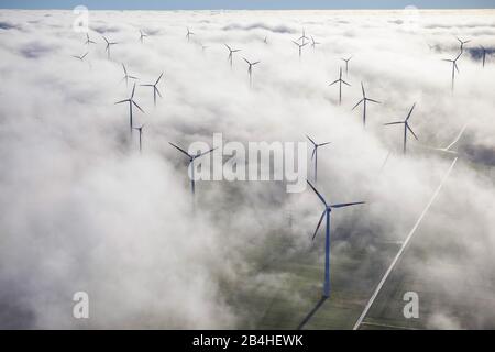 , Windturbinen aus einer Nebelschicht, 11.12.2013, Luftbild, Deutschland, Nordrhein-Westfalen, Ostwestfalen, Bad Wuennenberg Stockfoto