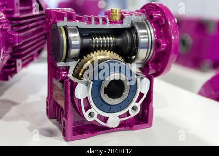 Schneckenuntersetzungsgetriebe im Abschnitt auf dem Ständer ist nahe. Branche Stockfoto