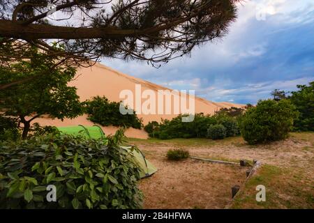 Die Düne von Pilat an der Atlantikküste, die höchste Sanddüne Europas, Frankreich, Bordeaux, La Teste-de-Buch, Arcachon Stockfoto