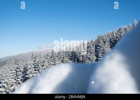 Schneebedecke Tannen im Wald vor blauem Himmel mit Blick in weite Landschaft in den Vogesen, Frankreich Stockfoto