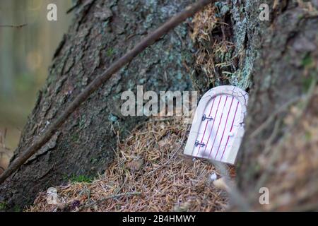 Feentür gegen den Stamm eines Baumes in Tirebagger Wald, Aberdeenshire Stockfoto