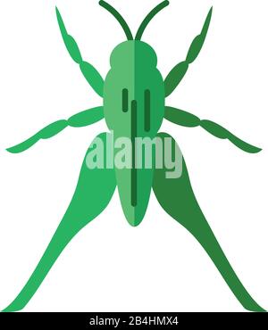 Heuschreckeninsekt über weißem Hintergrund, flaches Symbol, Vektorgrafiken Stock Vektor