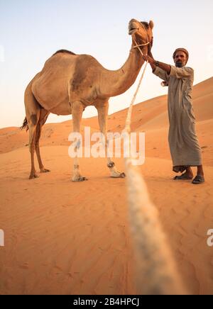 Beduinenmann mit seinem Kamel in der westlichen Region von Abu dhabi Liwa Desert in den vereinigten Arabischen emiraten 30. April 2010 Stockfoto