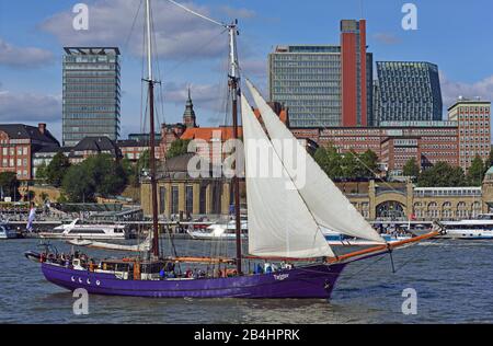 Europa, Deutschland, Hansestadt Hamburg, St. Pauli, Seeweteramt, Bernhard-Nocht-Institut, Skyline, Schooner Twister, Stockfoto