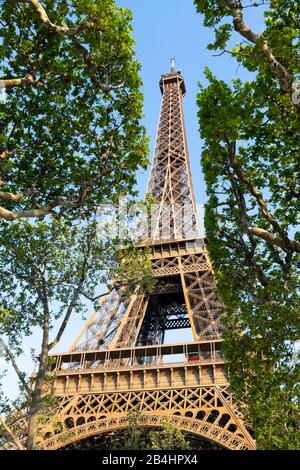 Blick durch Laubbäume im Champ du Mars auf den Eiffelturm, Paris, Frankreich, Europa Stockfoto