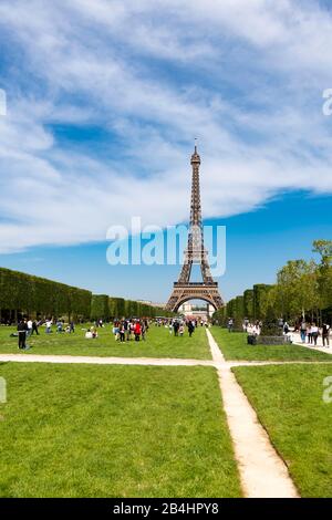 Rasenflechen mit Touristen im Champ de Mars vor dem Eiffelturm am Morgen, Paris, Frankreich, Europa Stockfoto