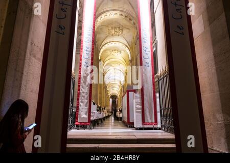 Eine Frau steht vor der Brasserie Le Café Marly im Louvre und baut auf ihr beleuchtetes Handydisplay, Paris, Frankreich, Europa Stockfoto