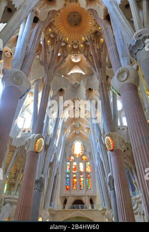 Kirchendecke im Inneren der Kathedrale Sagrada Familia von Antoni Gaudi in Barcelona, Katalonien, Spanien Stockfoto