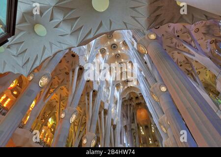 Kirchendecke im Inneren der Kathedrale Sagrada Familia von Antoni Gaudi in Barcelona, Katalonien, Spanien Stockfoto